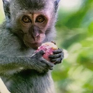 Meet your Posher, Alannah